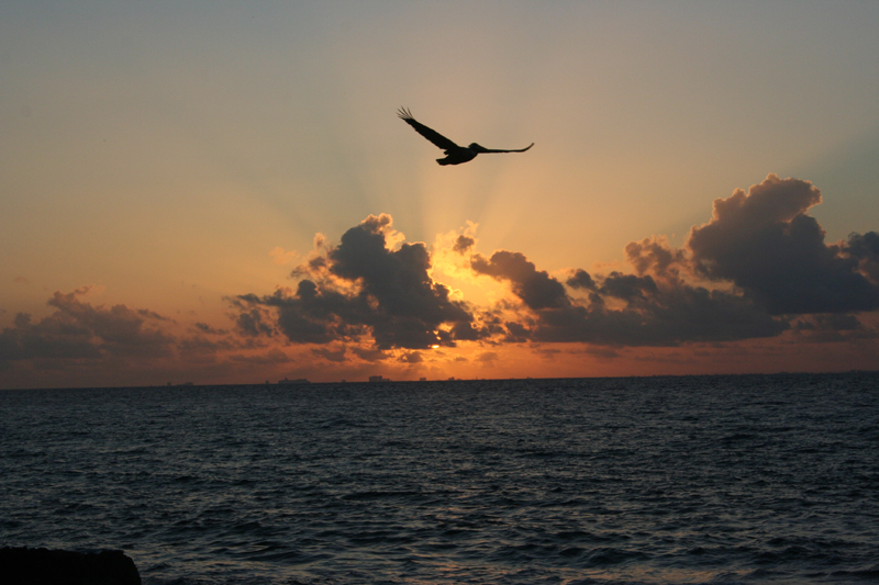 Sunrise over Cozumel